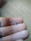 Picture 8 of 12