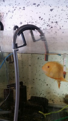 Aquarium Aquarium Wasser Füllschlauch Rohr Schlaufe Haken Rohr Siphon Ablauf Prime
