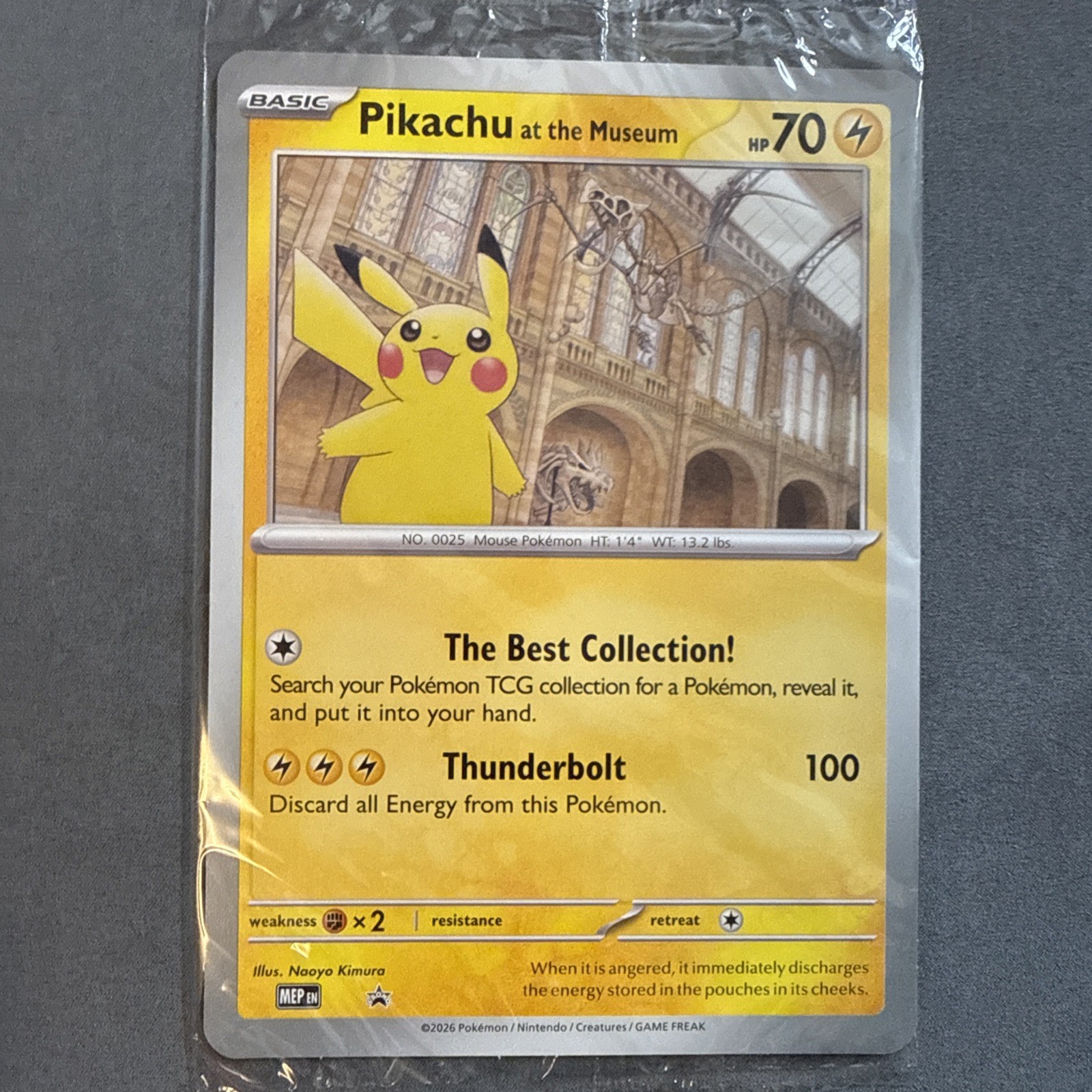 Pikachu At The museum Promo Sealed Pokemon x National History Museum