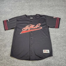 Vtg Nascar Dale Earnhardt #3 Chase Authentics Black Baseball Jersey Shirt Sz LG