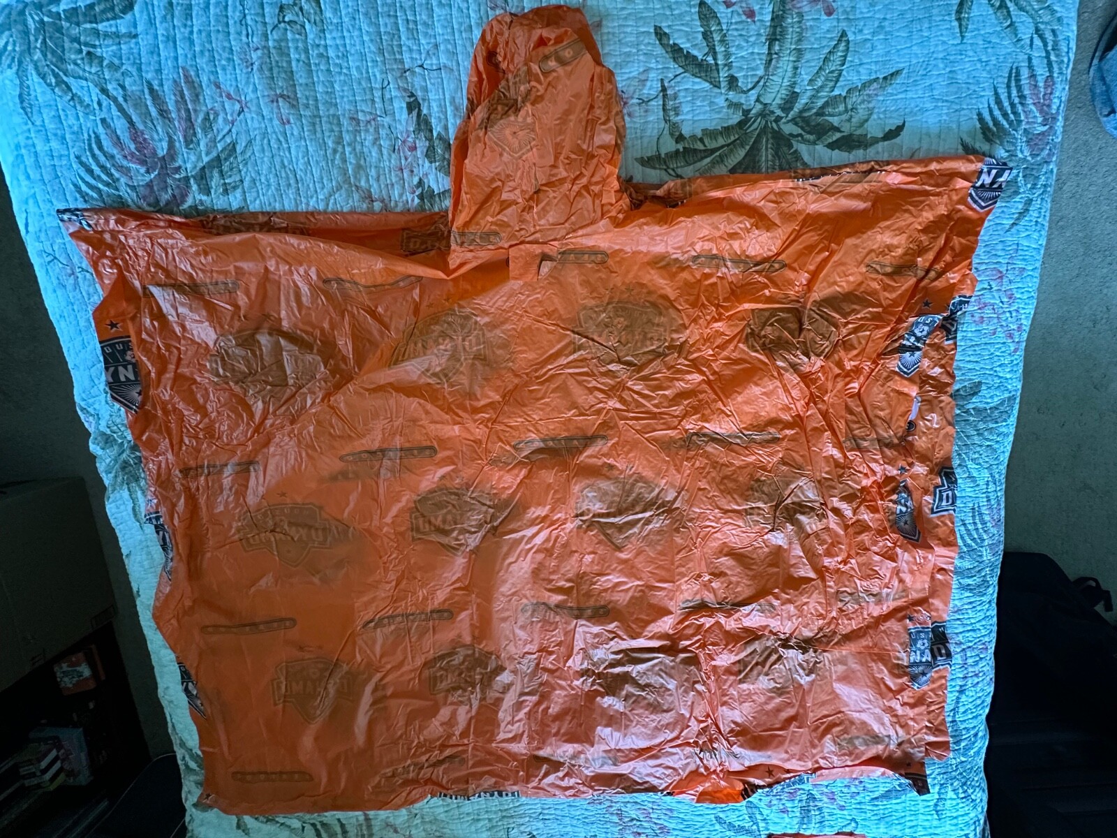 Picture 6 of 12
