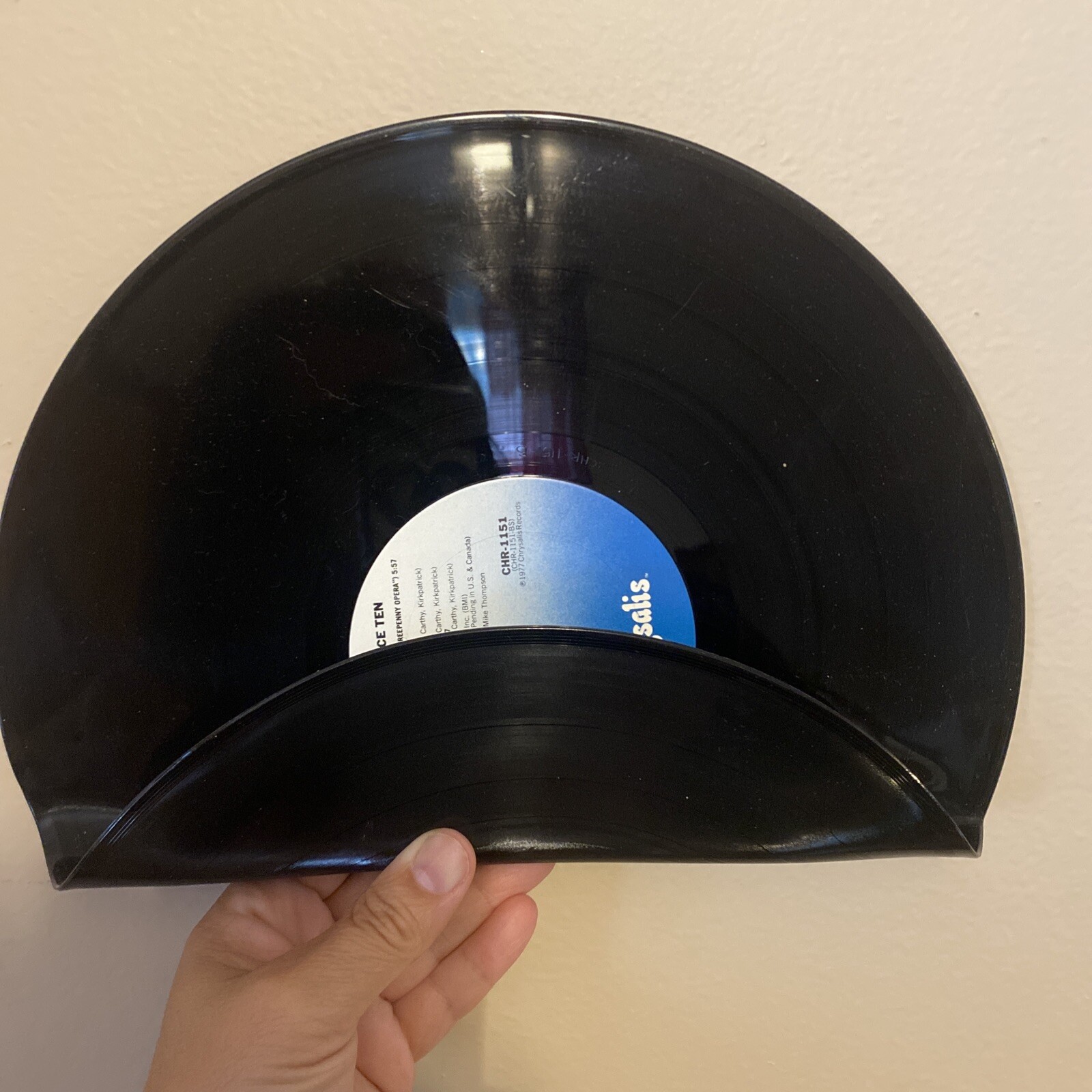 vinyl record shelves and two vinyl records.-image