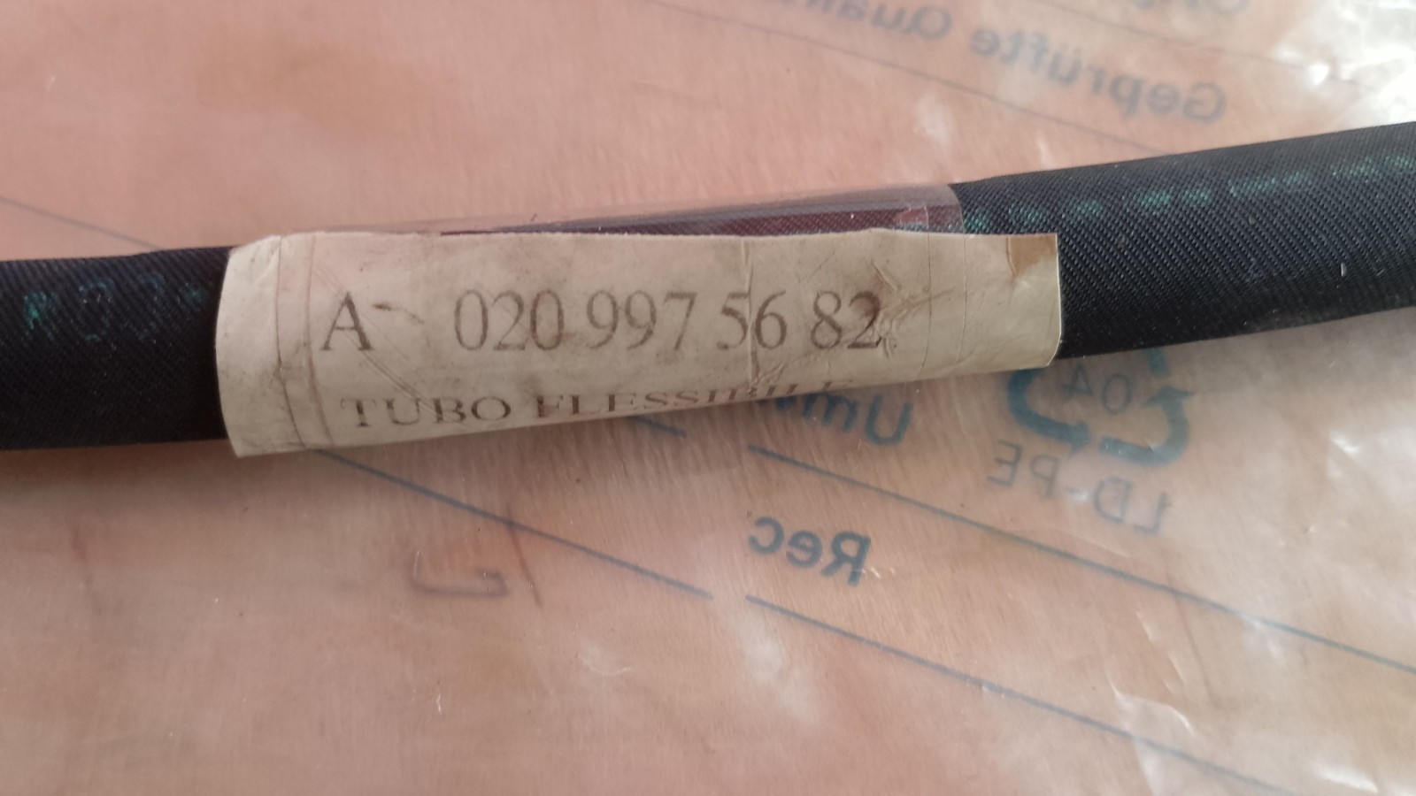 Foto 5 di 5