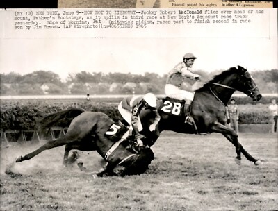 LG981 1965 AP Wire Photo TOSSED FOR LOSS NY HORSE