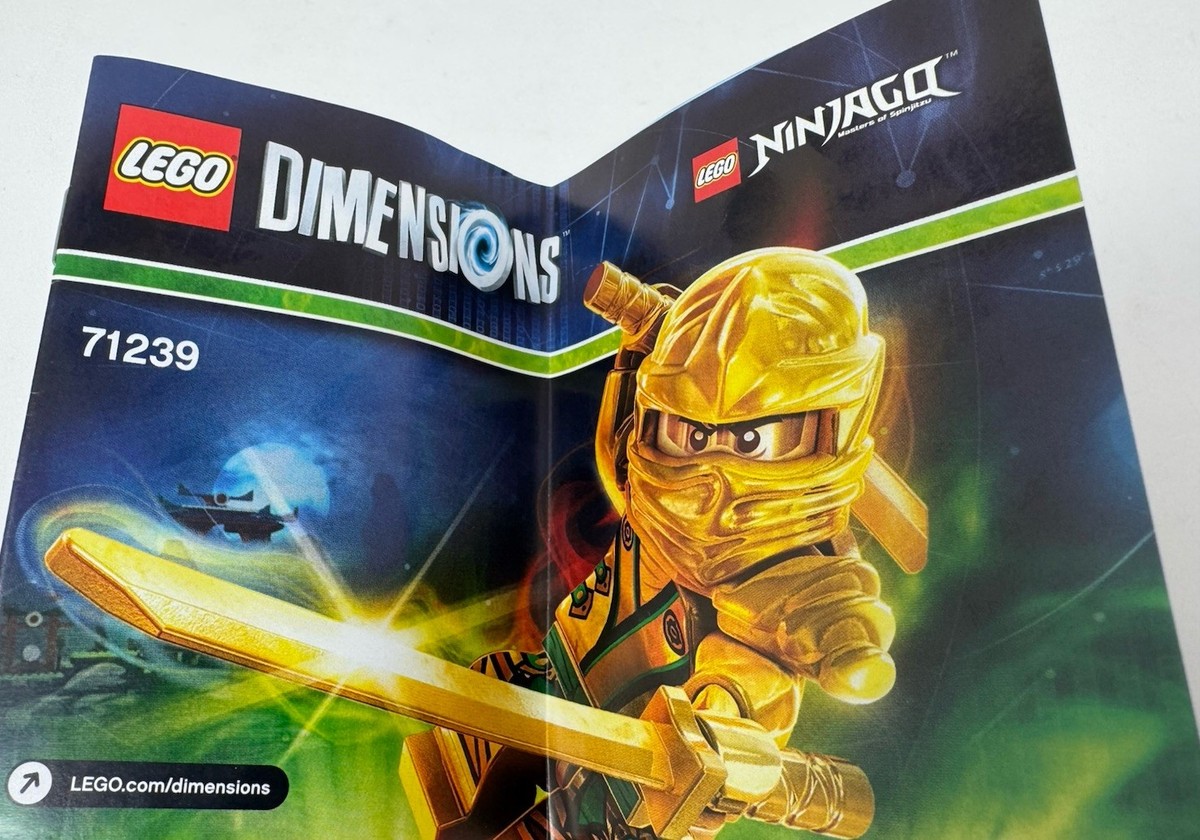 Big Kid Skeem & Raimond G. 7インチレコード LEGO DIMENSIONS: Lloyd Fun Pack (71239) for sale online | eBay