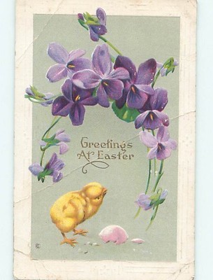 Bent Corner Divided-Back Easter CHICK WITH PURPLE FLOWERS o6275