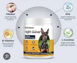 Weight Gainer For Dogs High Calorie Supplement With Multi-Vitamins. Natural 20oz