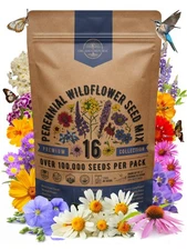 16 Perennial Wildflower Seeds Mix for Indoor & Outdoors. 100,000+ Non-GMO, He...
