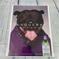 2000 Cute Dog Purple Shirt Tanqueray Gin Vtg Print Ad/Poster Pinup Magazine Page