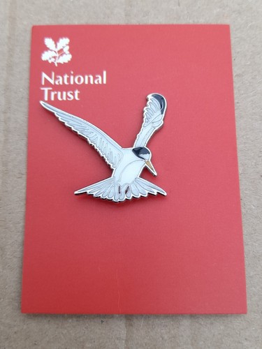 National Trust NORTHUMBERLAND COAST Little Tern Charity Pin Anstecker RSPB Interesse