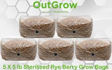 Sterilized Rye Berry Grow Bag (25lbs)