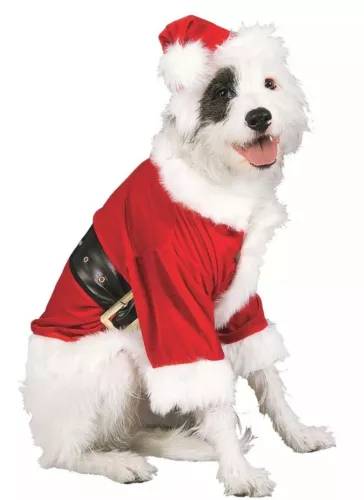 Santa Claus Pet Costume size large brand new rubies pet shop