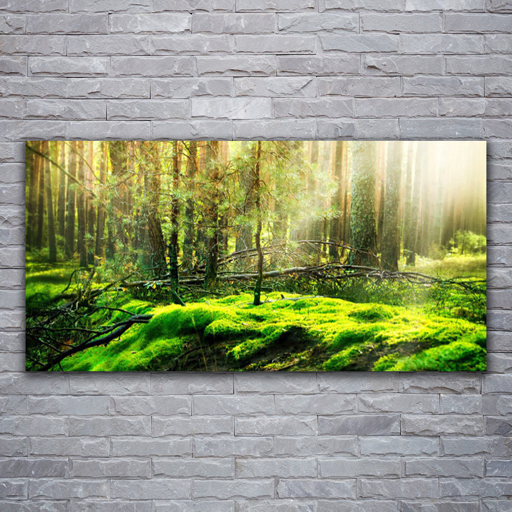Tableau en verre acrylique nature bryophyte 120x60 pour s'évader en forêt