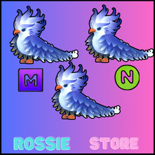 FROST PHOENIX - ADOPT NOW  NFR MFR 