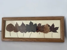Dried Pressed Leaves Wall Hanging Fall Nature Art Handmade Framed 19x7.5”