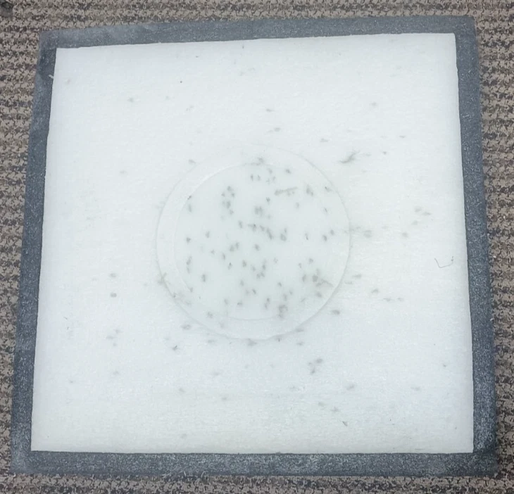 Stanley Hips Black Hole Archery Target 24" Inch - Image 2 of 4