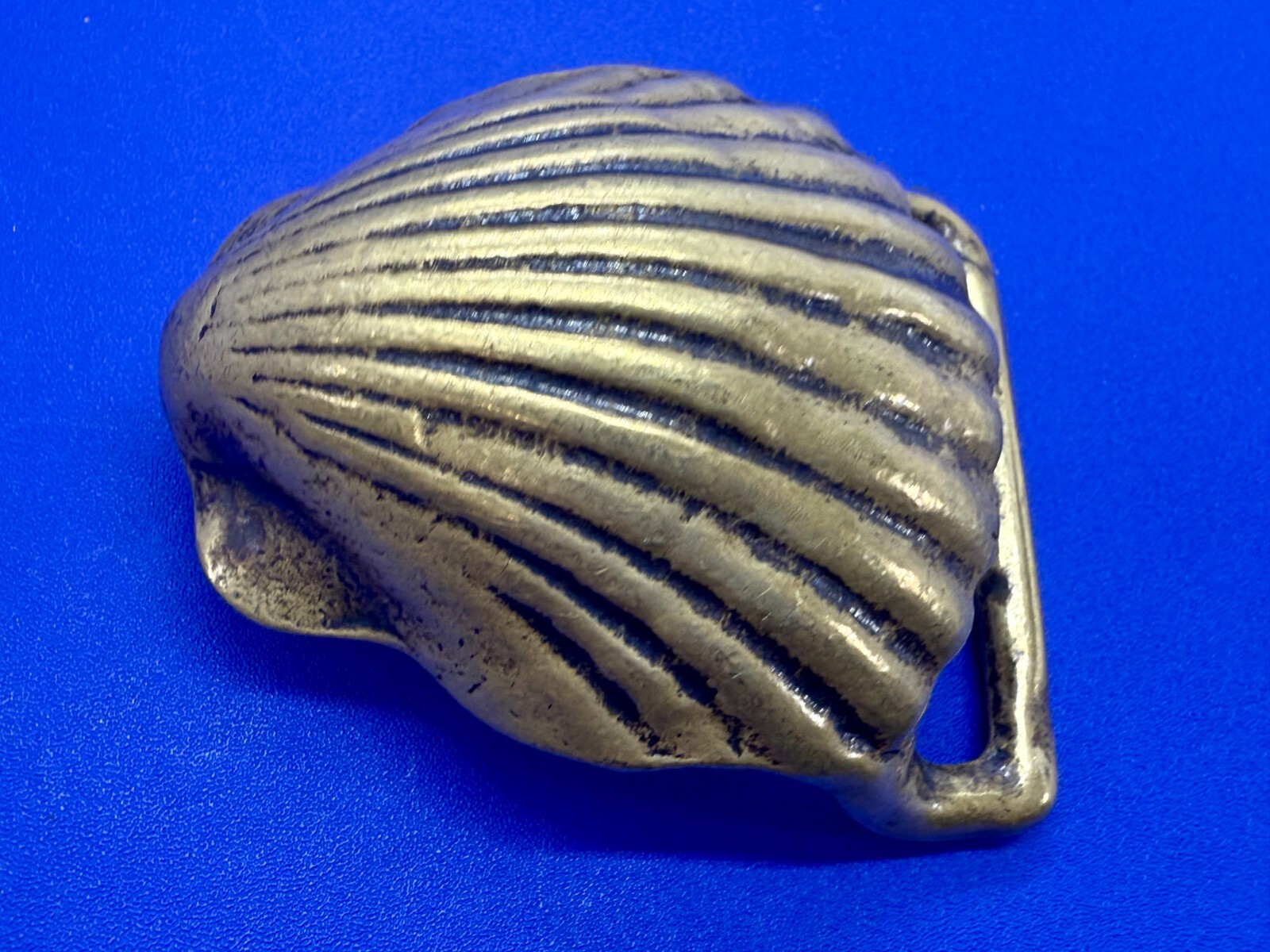 Seashell Clam Shell Nautical Ocean Theme Figural … - image 2