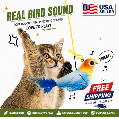 Interactive Cat Toy Bird Feather Suction Cup Self Play Kitten Exercise Toy
