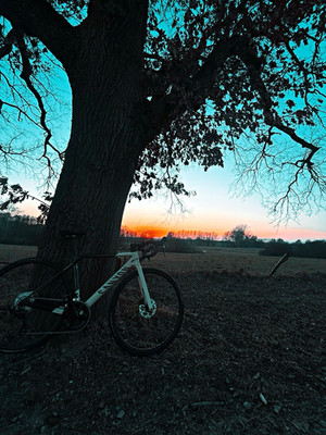 Canyon Ultimate CF SL7 Rennrad, RH S, Shimano 105