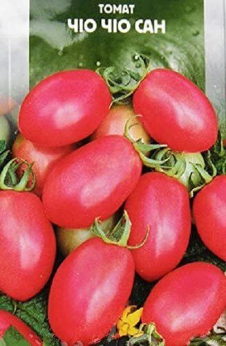 Ukrainian Organic Vegetable Tomato Seeds Chio Chio San Solanum Lycopersicum For Sale Online