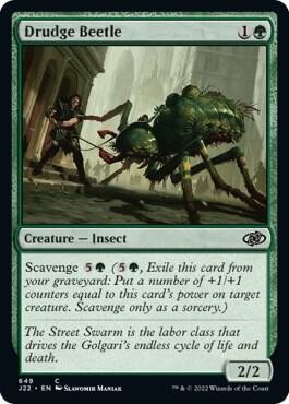 Drudge Beetle 649 Common Jumpstart 2022 Magic: The Gathering Near Mint