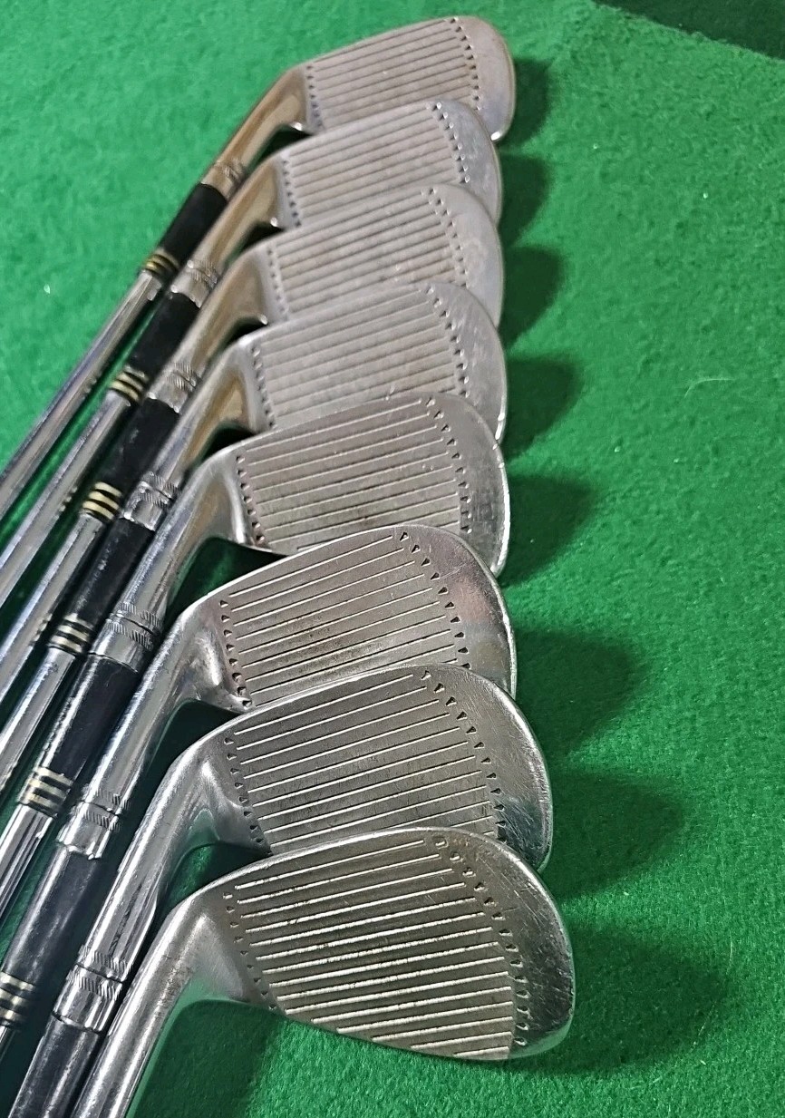Walter Hagen Haig Ultra WH385 Irons 3-PW / Reg Flex Steel Shaft / Right-Handed