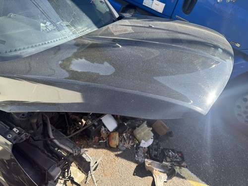 Used Hood fits: 2014 Ford Escape Grade B