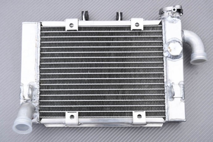 Radiateur eau aluminium racing Benelli 302S 2019-2024 - 2
