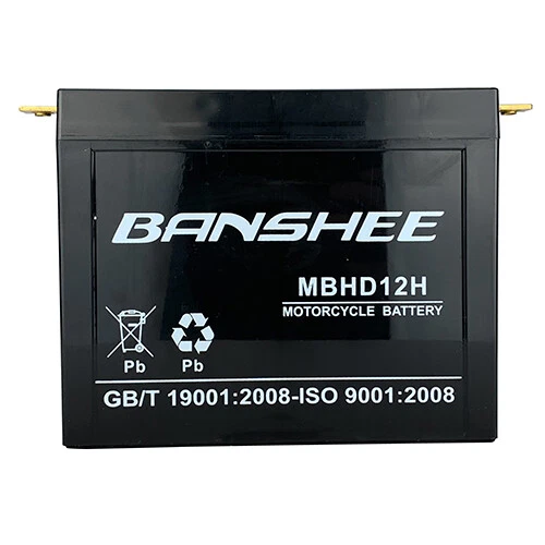 YHD-12H Battery by Banshee – Harley FL, FLH 1340/1200 & Sportster XLH 900 65-84 Foto 2 de 4