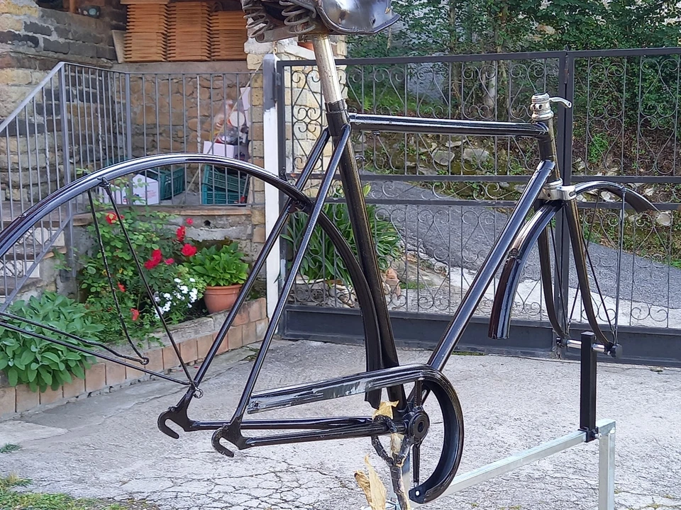  Bianchi Lusso Telaio  forcella  Carter Parafanghi serie Sterzo  Colnago Foto 4 de 4