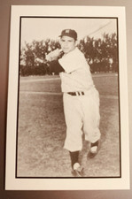 Yogi Berra 1984 RGI Baseball Collector Series Card # 11 New York Yankees