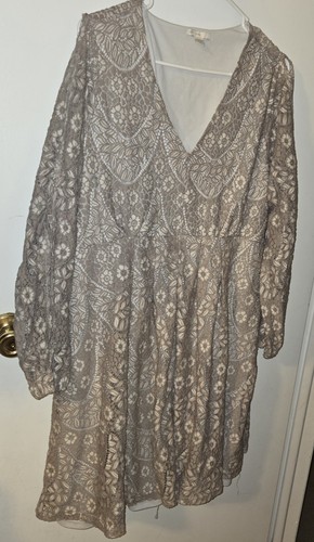 Est. 1946 18/20W Lace Long Sleeve Peekaboo Sleeve Knee Length Dress - 第 1/3 張圖片