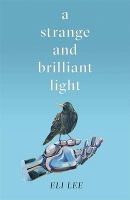 A Strange and Brilliant Light: Winner of the Writers Guild Best First Novel Awar
