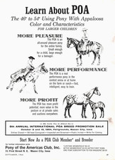 Pony Of Americas Club POA Appaloosa Pony Mason City Iowa 1964 revista anuncio impreso