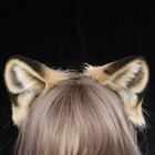 Bild 11 von 11