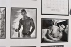 RAPTURE 2001 Tasteful BEEFCAKE MALE Vintage GAY James Loy Photography calendar — photo 6