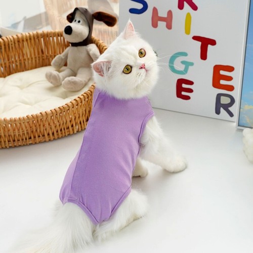 Pet Dog Medical Surgical Clothes Recovery Suit Wound Protector Wear AfterSurgery - Picture 11 of 24
