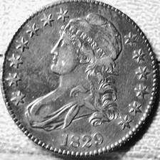  on The Hot Collector