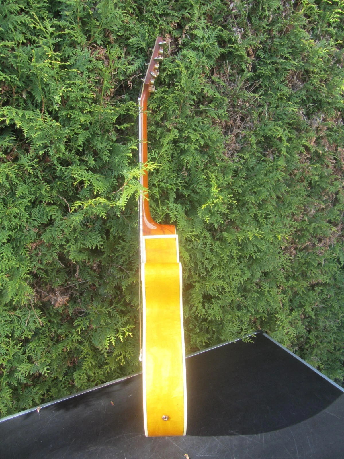 Picture 5 of 10