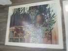Picture 16 of 16