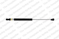 Lesjöfors Gasfeder Motorhaube 8008412 FüR E88 BMW E81 1Er E87 E82 116 118 120