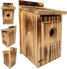 Outdoor Bird House for Bluebird, Finch, Wren, Chickadee, Tree Swallow, Wild Bird