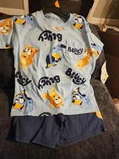size 4 boys bluey short outfit new with tags
