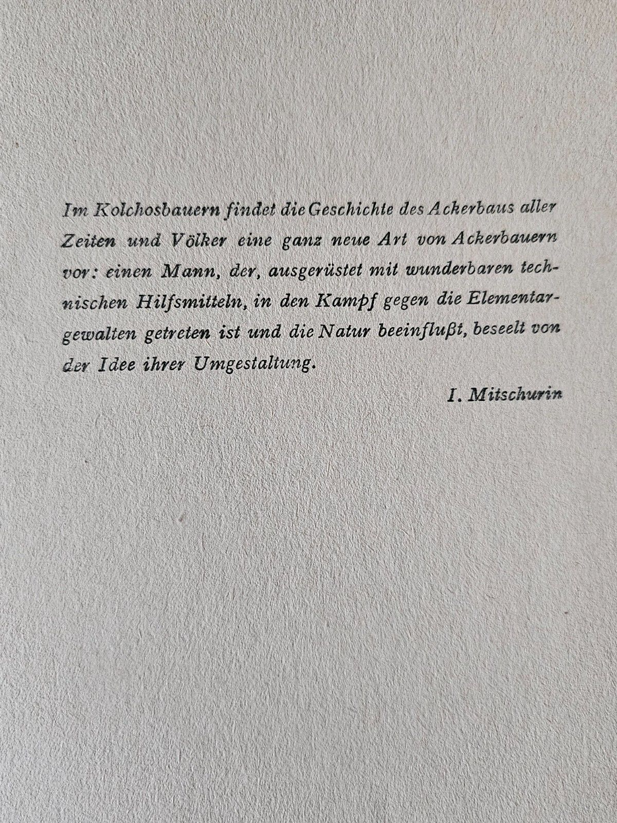 Bild 5 von 8
