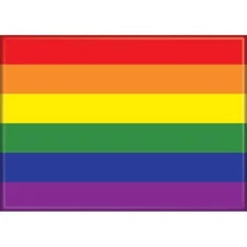 ATA-BOY PRIDE FLAG REFRIGERATOR MAGNET 2.5” X 3.5” NEW
