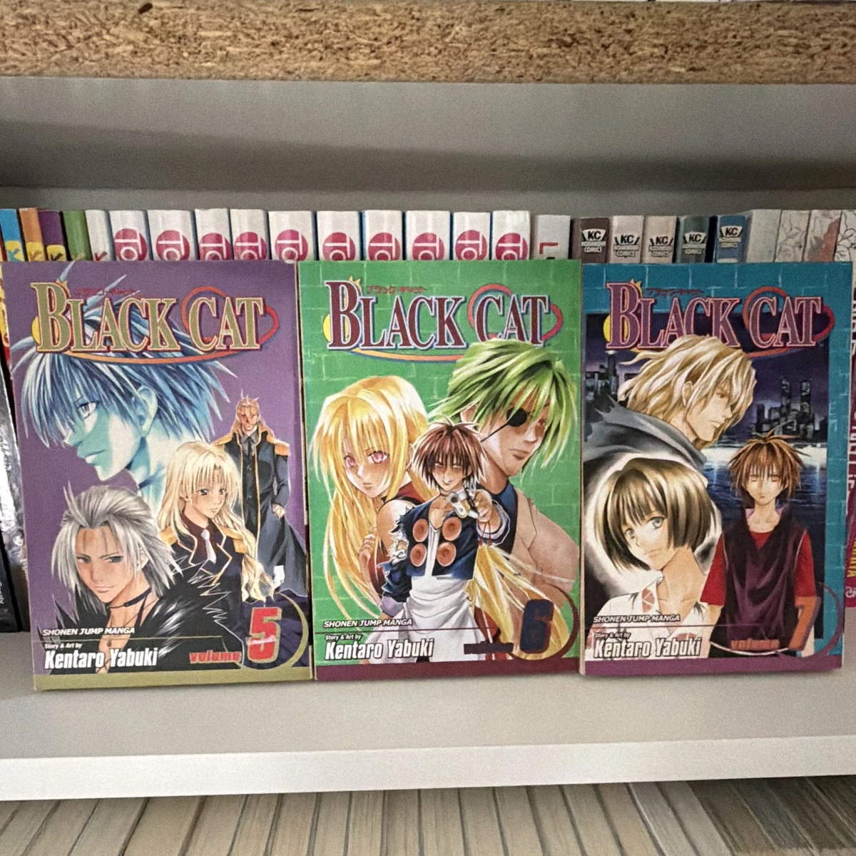 Black Cat Manga for sale | eBay