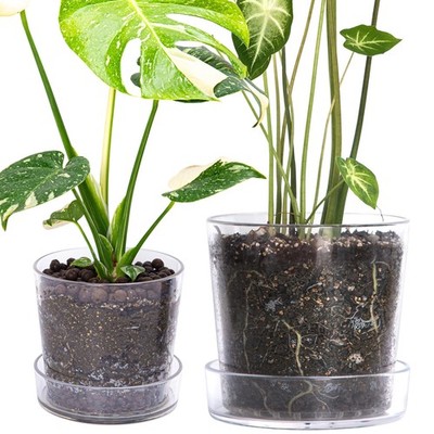 Clear Acrylic Orchid & Indoor Plant Planters with Trays & Drainage  6.5'' & 8''