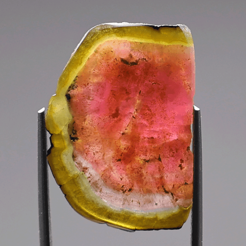 Gemma succosa ~ 8,46 Cts Tormalina naturale di anguria 21,6 mm fetta lucida pietra preziosa - Foto 2 di 11