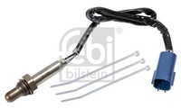 Febi Bilstein Lambdasonde Sensor Abgassteuerung 177509 FüR Renault Vel Satis 4 1