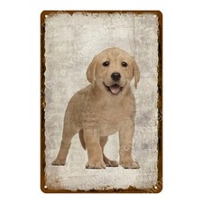 Vintage Pug Dog for Bar Club Shop Tin Metal Signs Home D cor 8x12